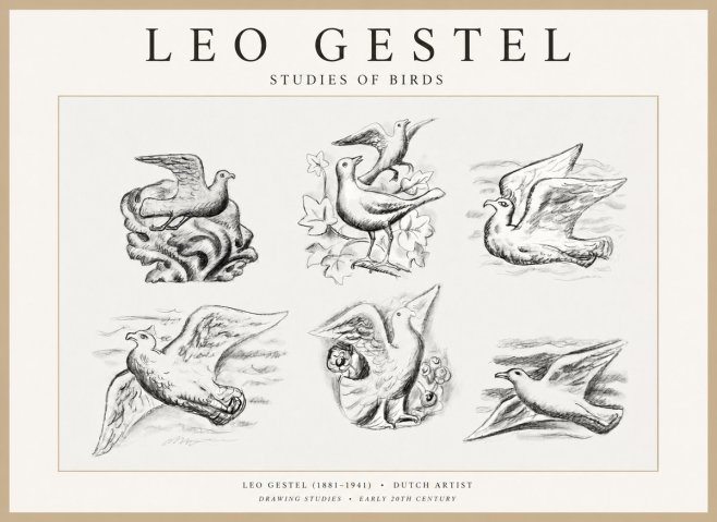 Leo Gestel Studies of Birds No1 - Juliste