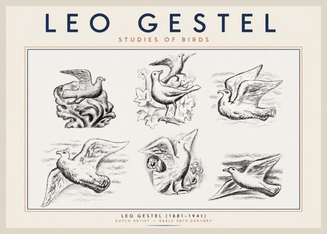 Leo Gestel Studies of Birds No2 - Juliste
