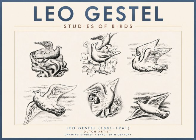 Leo Gestel Studies of Birds No4 - Juliste