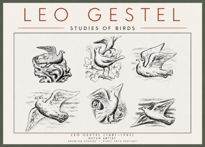 Leo Gestel Studies of Birds No5 - Juliste