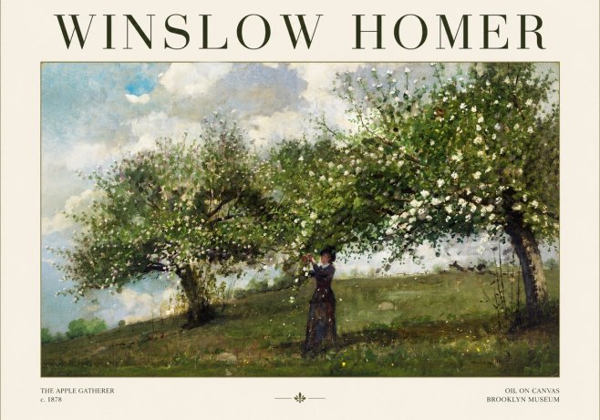 Winslow Homer The Apple Gatherer No1 - Juliste