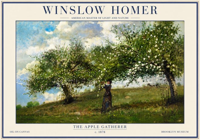 Winslow Homer The Apple Gatherer No3 - Juliste