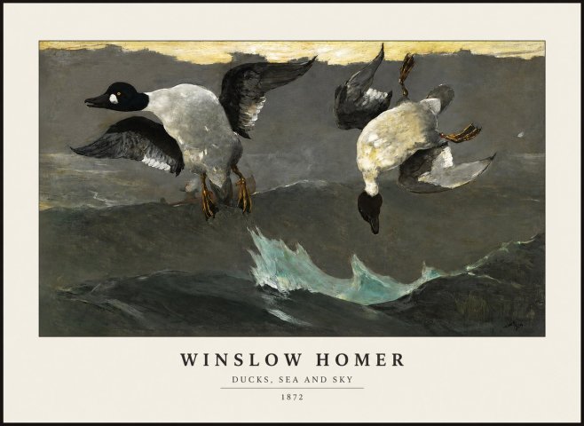 Winslow Homer Ducks, Sea and Sky No1 - Juliste