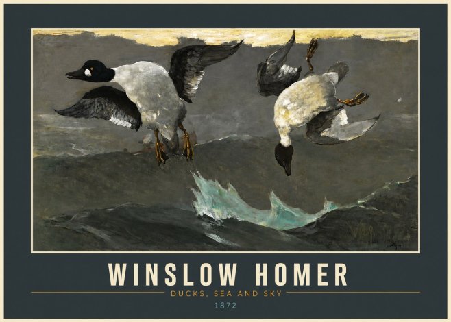 Winslow Homer Ducks, Sea and Sky No2 - Juliste