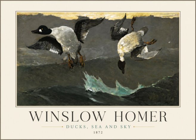 Winslow Homer Ducks, Sea and Sky No3 - Juliste