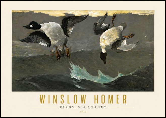 Winslow Homer Ducks, Sea and Sky No4 - Juliste