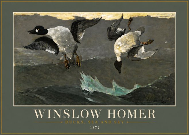 Winslow Homer Ducks, Sea and Sky No6 - Juliste