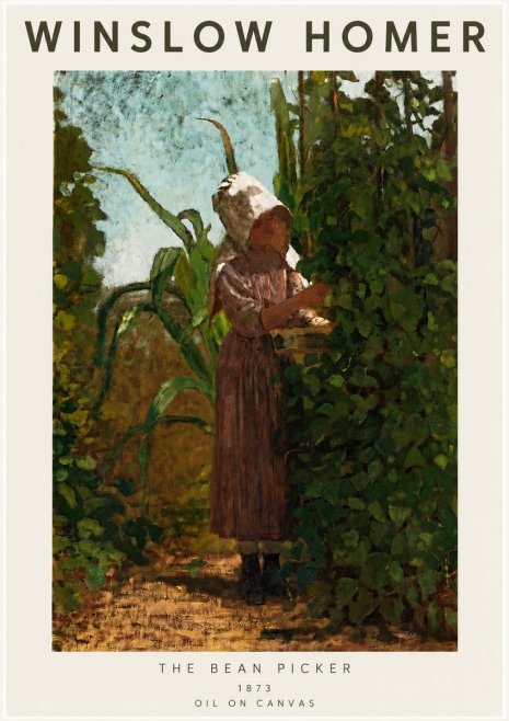 Winslow Homer The Bean Picker No4 - Juliste