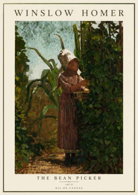 Winslow Homer The Bean Picker No6 - Juliste