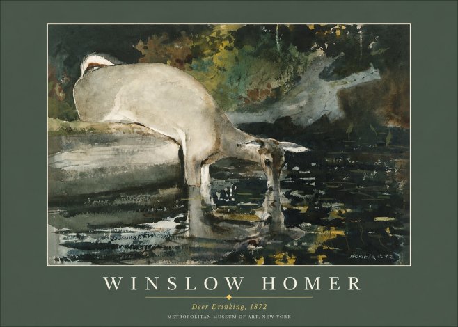 Winslow Homer Deer Drinking No2 - Juliste