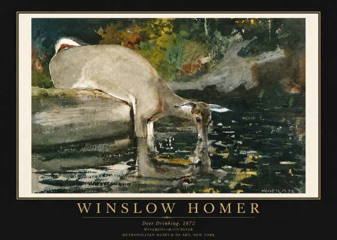 Winslow Homer Deer Drinking No3 - Juliste