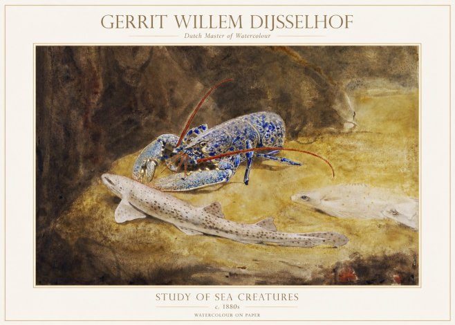 Gerrit Willem Dijsselhof Study of Sea Creatures No1 - Juliste