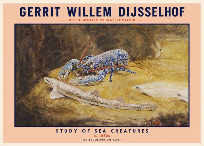 Gerrit Willem Dijsselhof Study of Sea Creatures No2 - Juliste