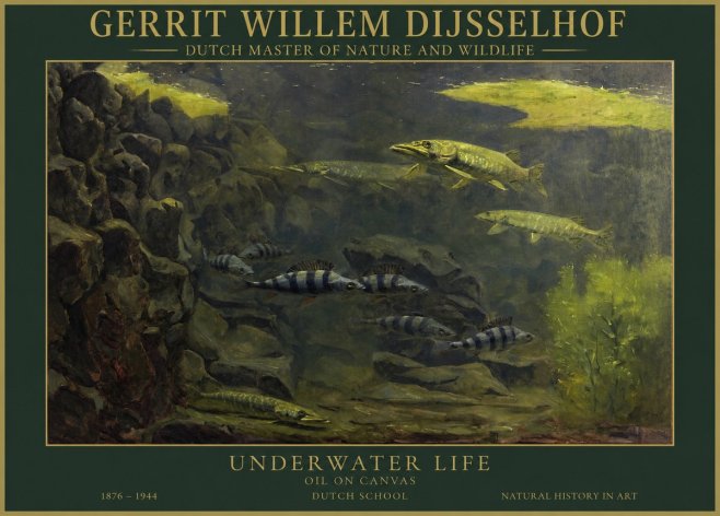 Gerrit Willem Dijsselhof Underwater Life No1 - Juliste