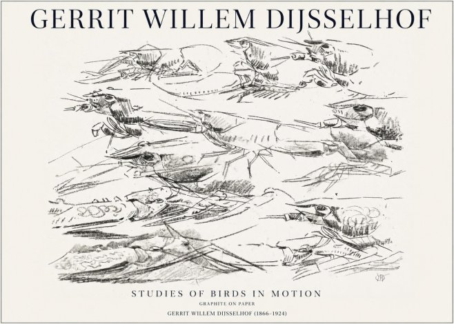 Gerrit Willem Dijsselhof Studies of Birds in Motion No1 - Juliste