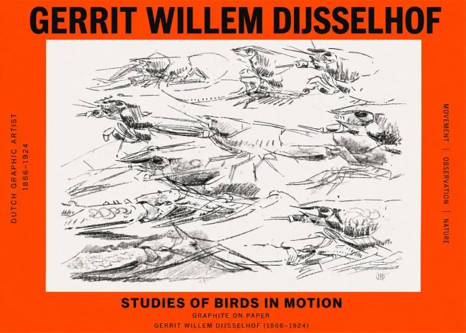 Gerrit Willem Dijsselhof Studies of Birds in Motion No2 - Juliste