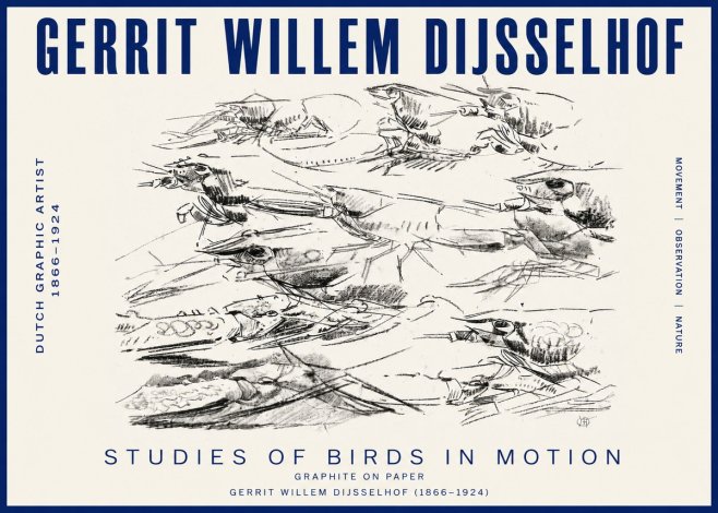 Gerrit Willem Dijsselhof Studies of Birds in Motion No3 - Juliste