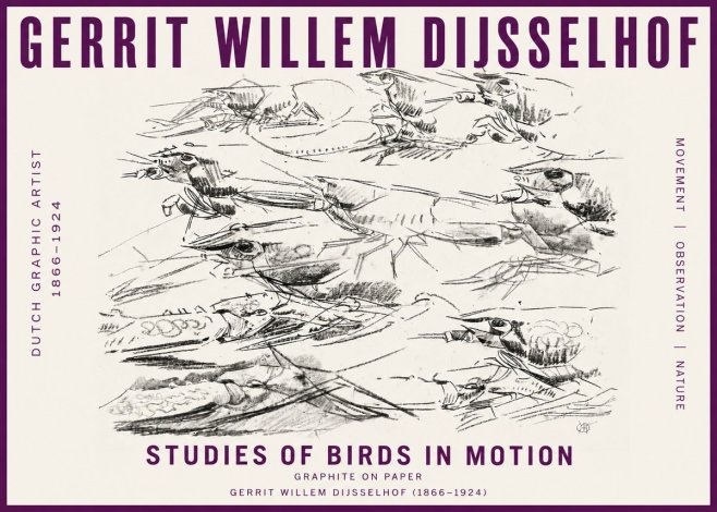 Gerrit Willem Dijsselhof Studies of Birds in Motion No5 - Juliste