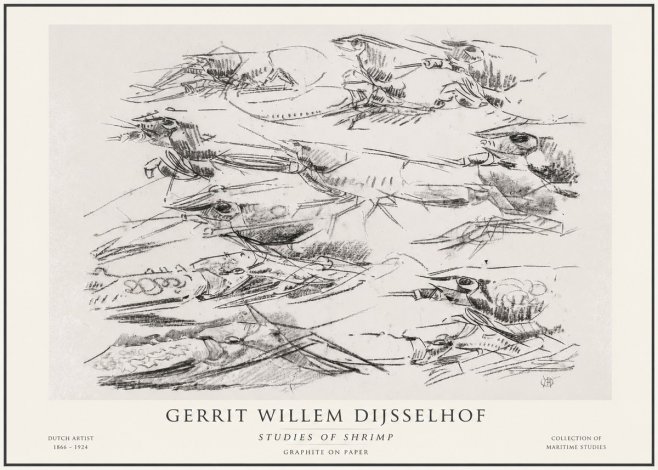 Gerrit Willem Dijsselhof Studies of Birds in Motion No6 - Juliste