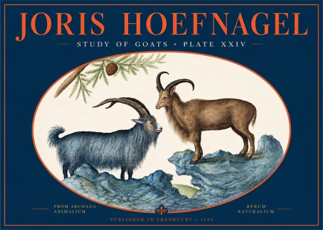 Joris Hoefnagel Two Mountain Goats from the Series Quadrupeds No3 - Juliste