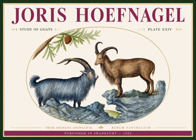 Joris Hoefnagel Two Mountain Goats from the Series Quadrupeds No4 - Juliste