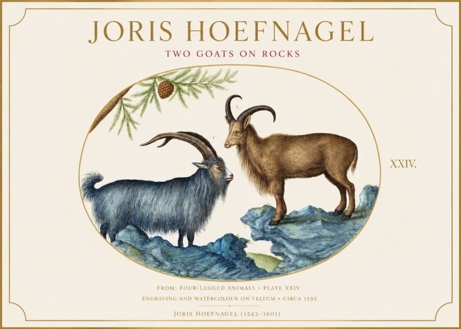 Joris Hoefnagel Two Mountain Goats from the Series Quadrupeds No6 - Juliste