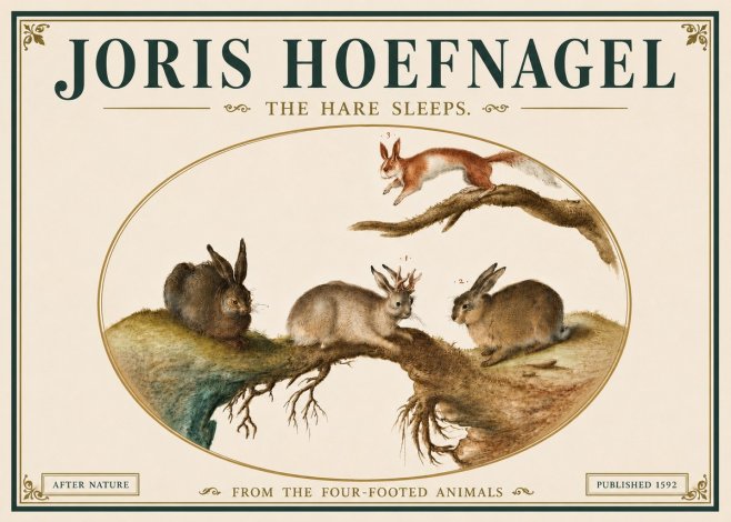 Joris Hoefnagel Lepvs Dormit No6 - Juliste