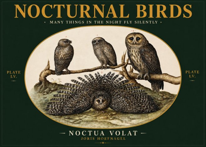 Joris Hoefnagel Noctva Volat No3 - Juliste