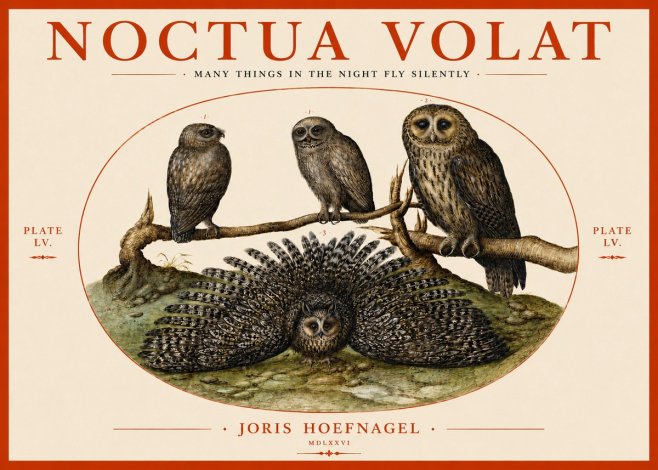 Joris Hoefnagel Noctva Volat No4 - Juliste