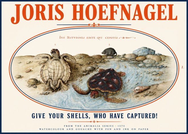 Joris Hoefnagel Two Turtles in a Stream No4 - Juliste
