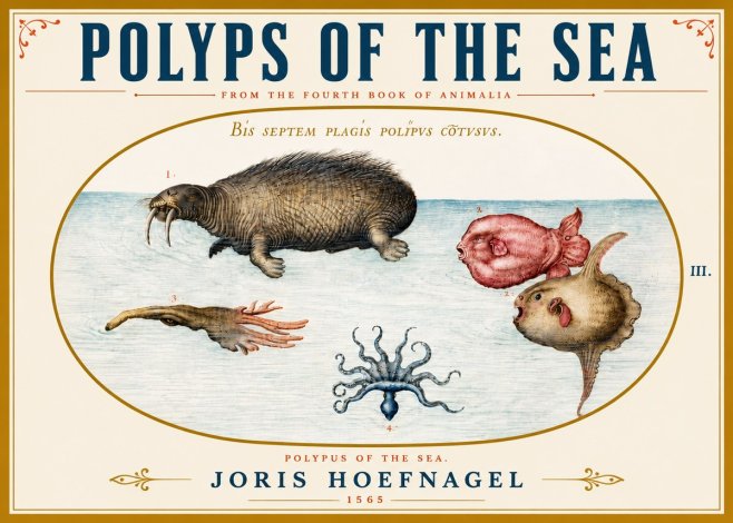 Joris Hoefnagel Polyps of the Sea No5 - Juliste