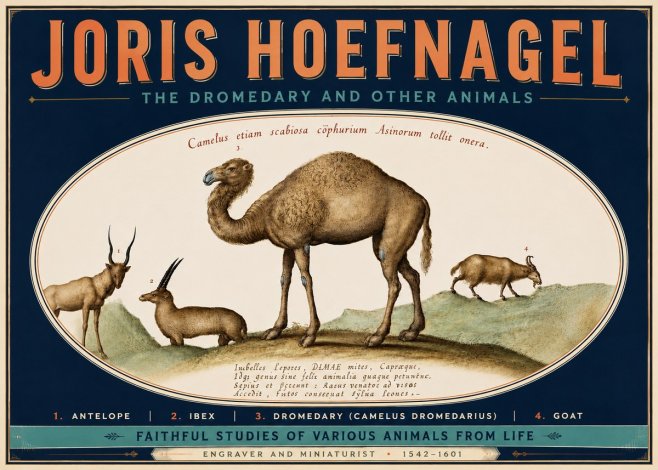 Joris Hoefnagel The Dromedary and Other Animals from Studies of Nature No6 - Juliste