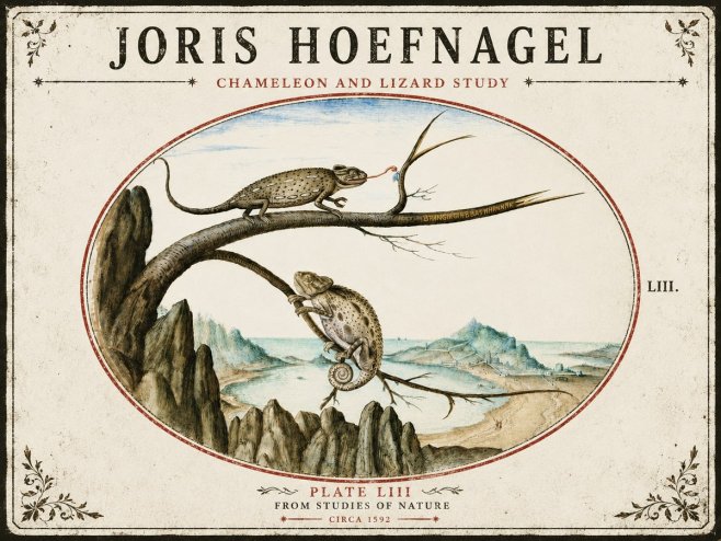 Joris Hoefnagel Chameleon and Lizard No5 - Juliste