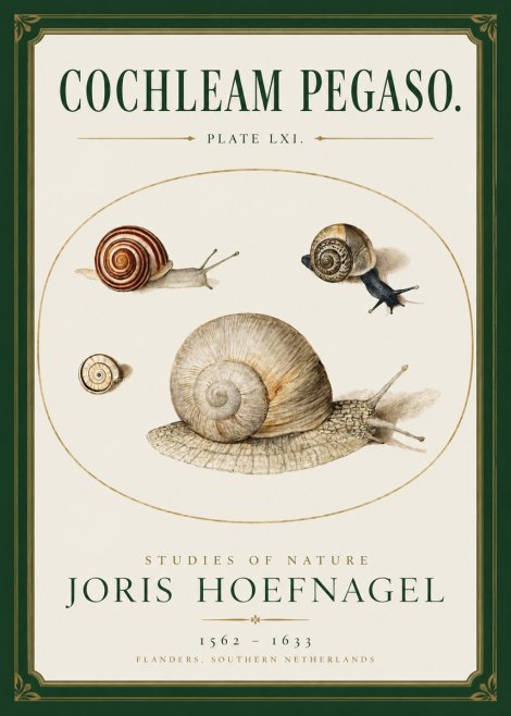 Joris Hoefnagel The Four Snails No3 - Juliste