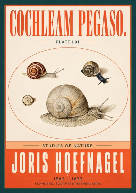 Joris Hoefnagel The Four Snails No4 - Juliste