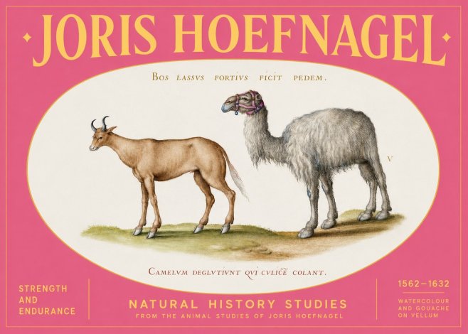 Joris Hoefnagel A Study of Strength and Endurance No2 - Juliste