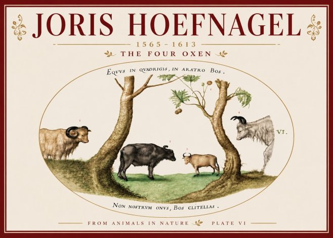 Joris Hoefnagel The Four Oxen No6 - Juliste