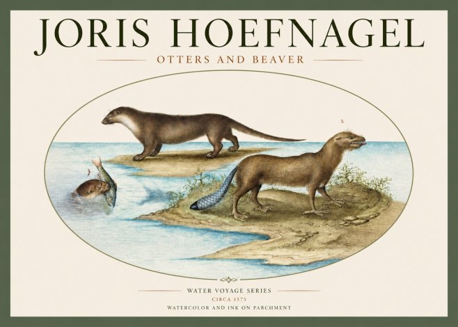Joris Hoefnagel The Four-footed Creatures No3 - Juliste