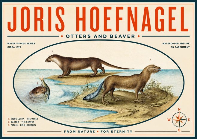 Joris Hoefnagel The Four-footed Creatures No6 - Juliste