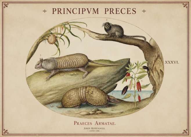 Joris Hoefnagel Praeces Armatae. No1 - Juliste
