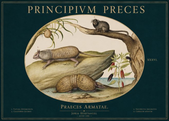 Joris Hoefnagel Praeces Armatae. No3 - Juliste