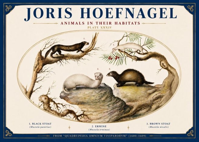 Joris Hoefnagel Animals in Their Habitats Plate Xxxiv No6 - Juliste