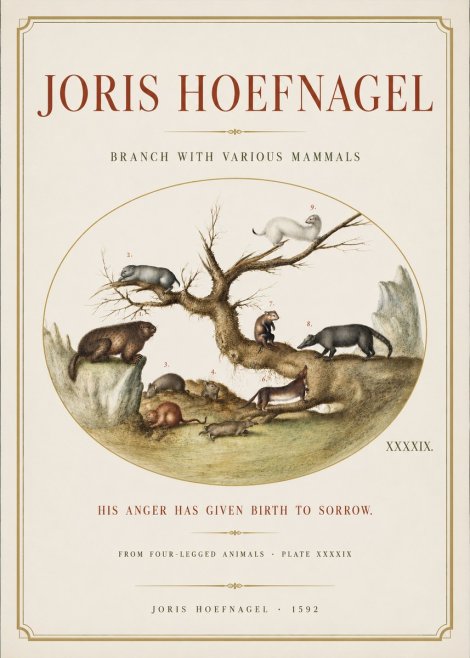 Joris Hoefnagel Branch with Various Mammals No3 - Juliste