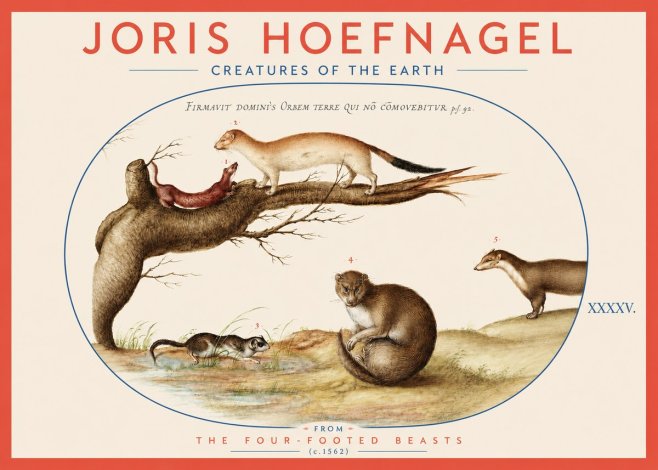 Joris Hoefnagel Creatures of the Earth I No3 - Juliste
