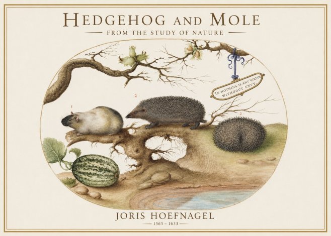 Joris Hoefnagel Hedgehog and Mole No1 - Juliste