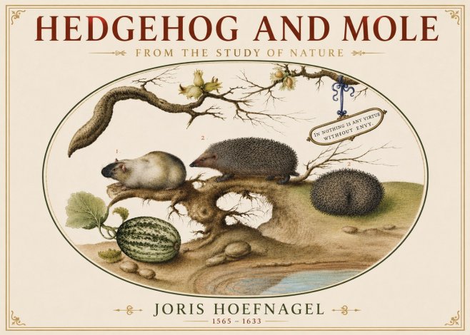 Joris Hoefnagel Hedgehog and Mole No5 - Juliste
