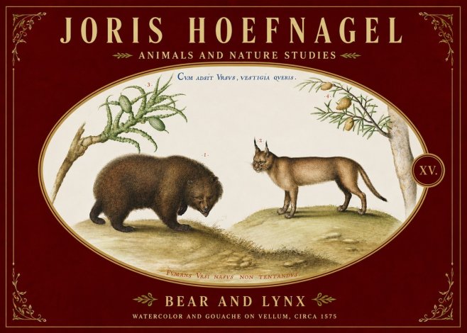 Joris Hoefnagel Bear and Lynx No5 - Juliste