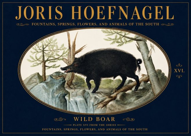Joris Hoefnagel Fountains, Springs, Flowers, and Animals of the South - Plate Xvi No5 - Juliste
