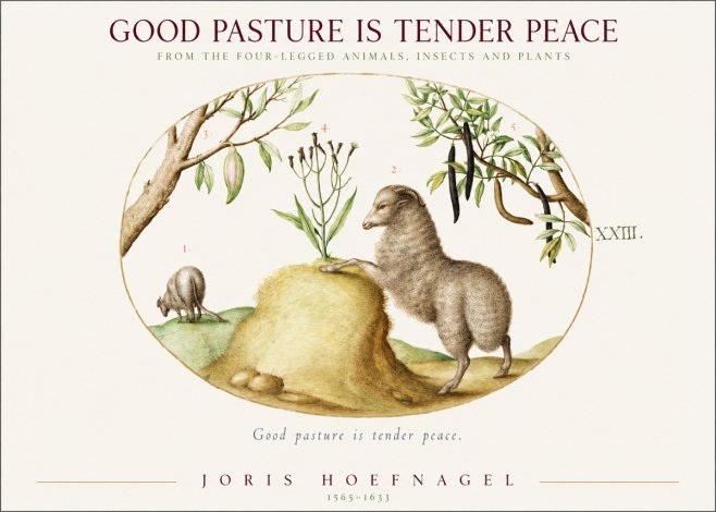 Joris Hoefnagel Good Pasture Is Tender Peace. No1 - Juliste