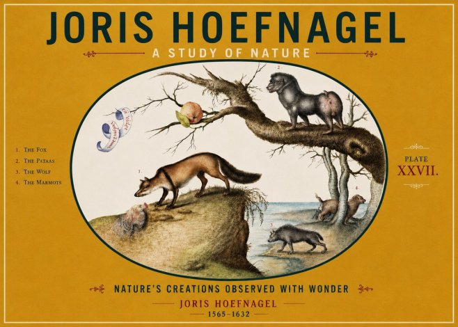 Joris Hoefnagel A Study of Nature - Plate Xxvii No4 - Juliste